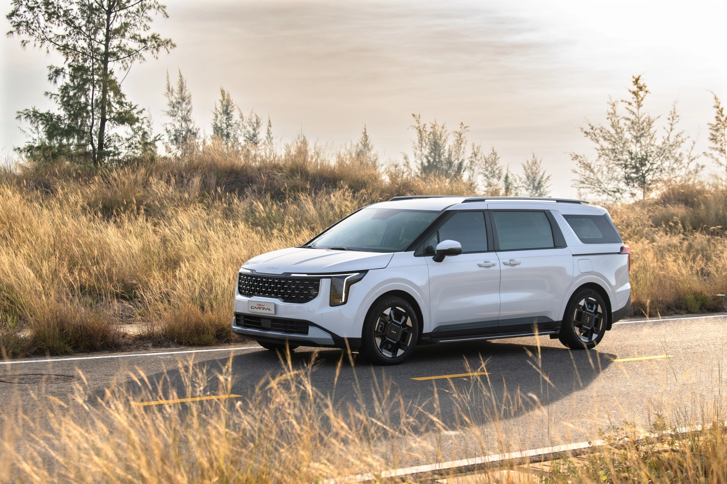 Thuê Xe Carnival Tại Hồ Chí Minh Có Tài 10h100km