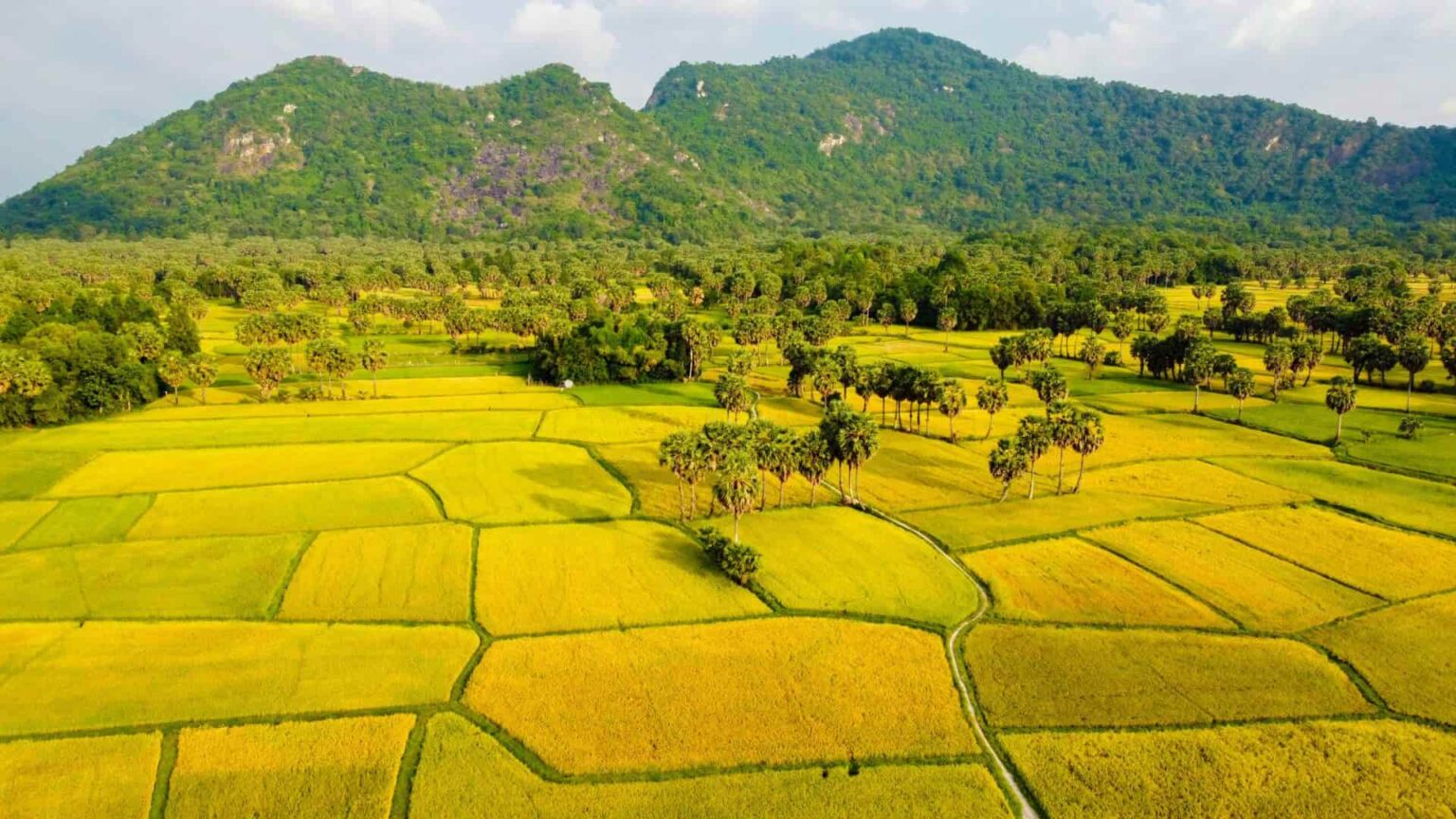 Thuê xe du lịch tại An Giang